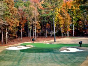 Shoal Creek 16th Zoom